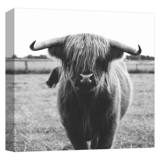 "Buffalo Sight'' Canvas Abstract Wall Art 15 in. x 15 in.